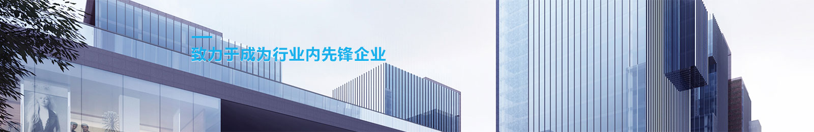 ⭐出售精品肯尼亚世纪佳缘一手源头号大批量批发